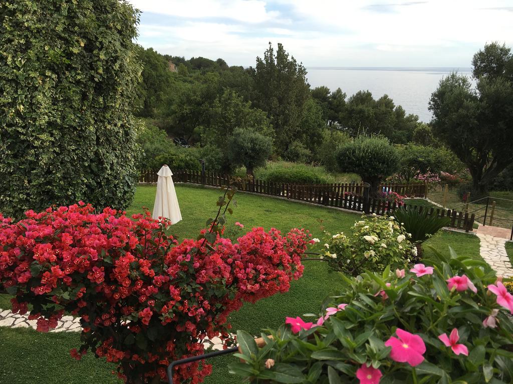 Bed And Breakfast Nefer Maratea Dış mekan fotoğraf