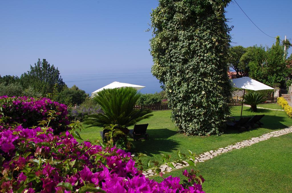 Bed And Breakfast Nefer Maratea Dış mekan fotoğraf
